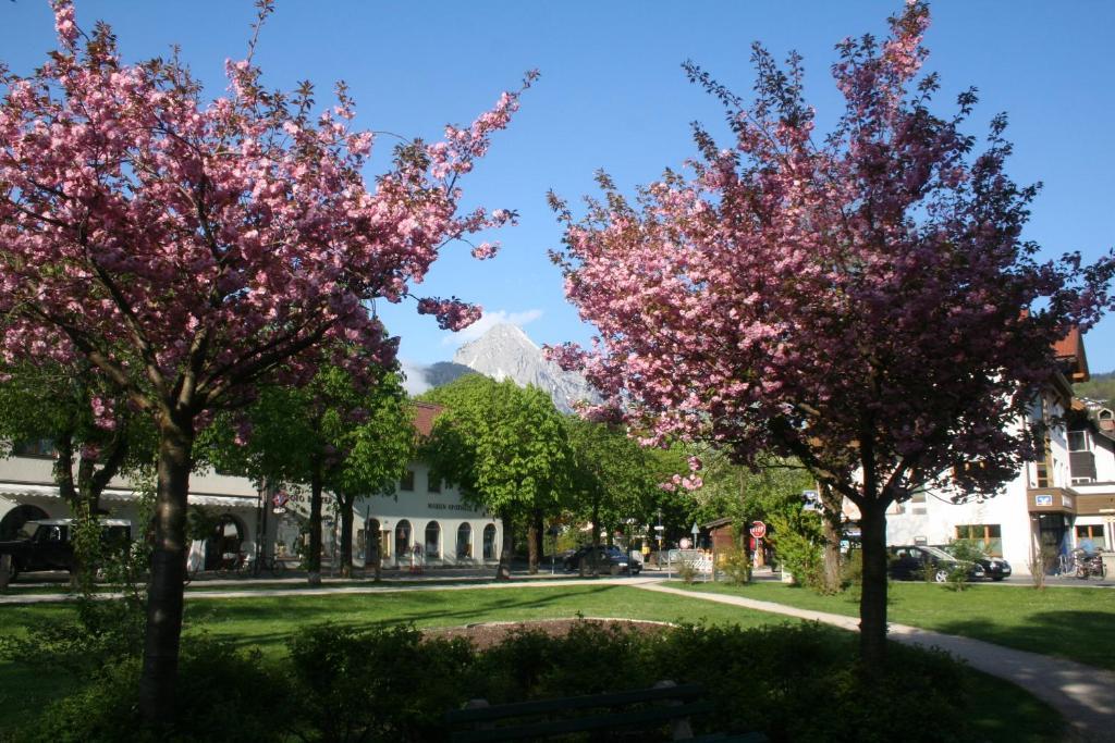 Gaestehaus Sonnenheim 미텐발트 외부 사진